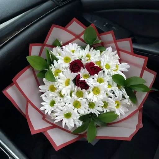 Papatyalar